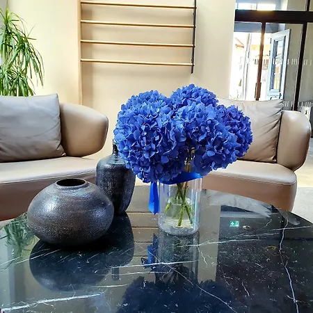 Indigo By Ihg (adults Only) 호텔